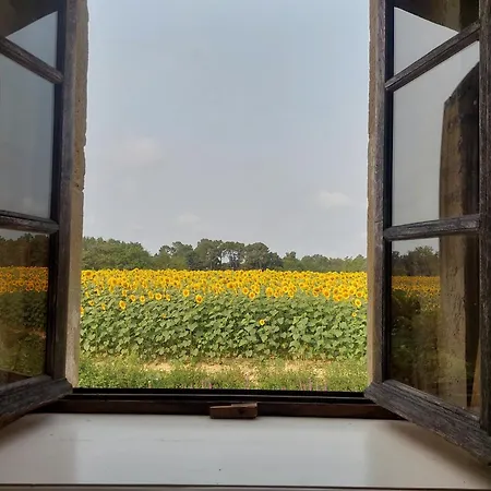 Haou De Campagne Bed and breakfast *