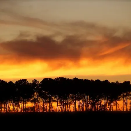Haou De Campagne