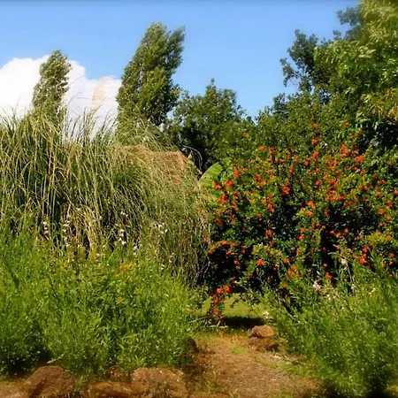 Haou De Campagne Bed and breakfast Peyre
