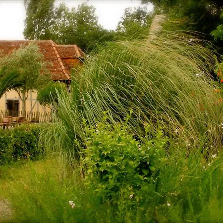 Haou De Campagne * Peyre